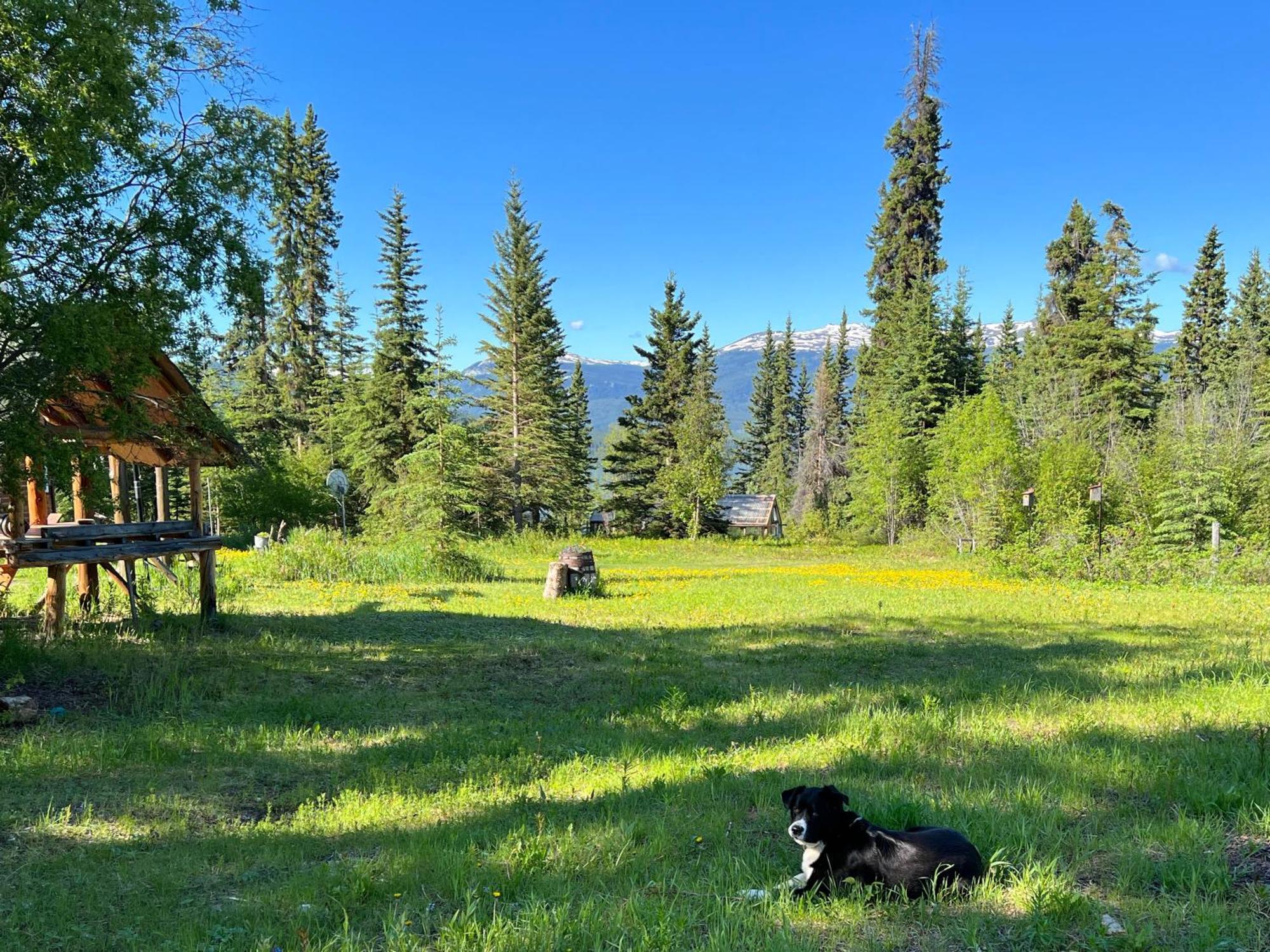 Little Atlin Lodge Tagish Exterior photo